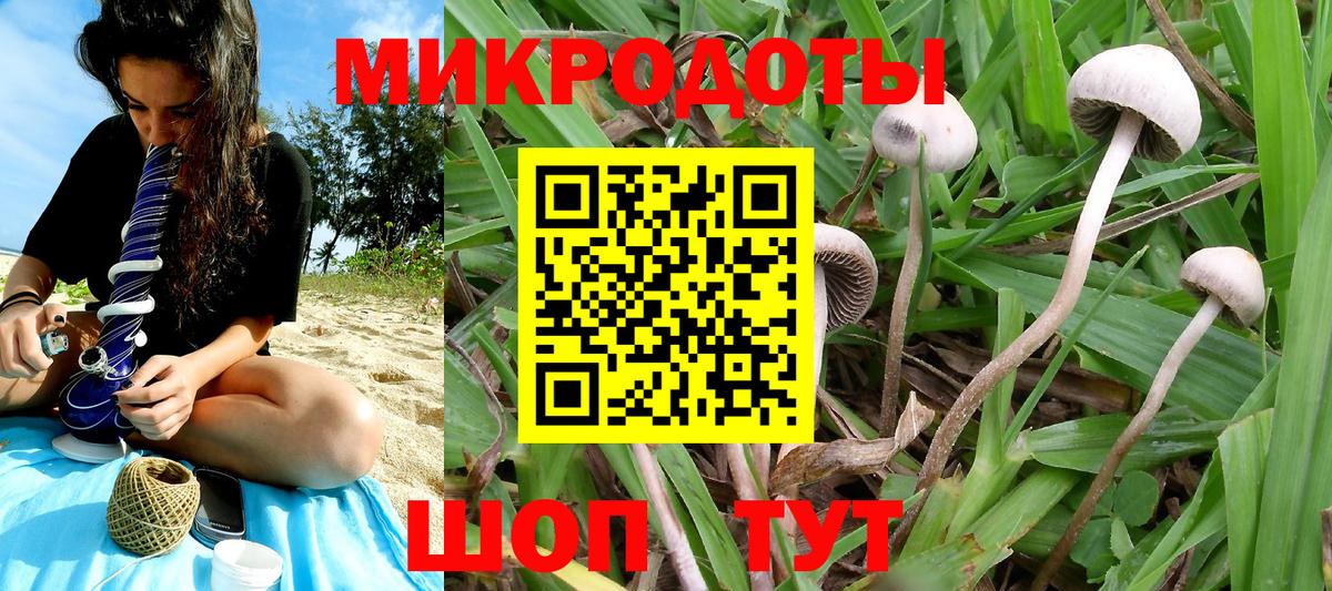 Шахты  Псилоцибиновые грибы мухоморы  наркота  Вход с VPN  Псилоцибиновые грибы прущие грибы 